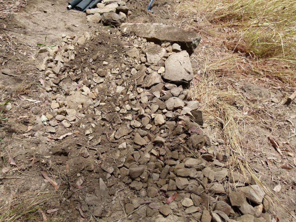 Woops, meant to take this pic before I threw soil on
